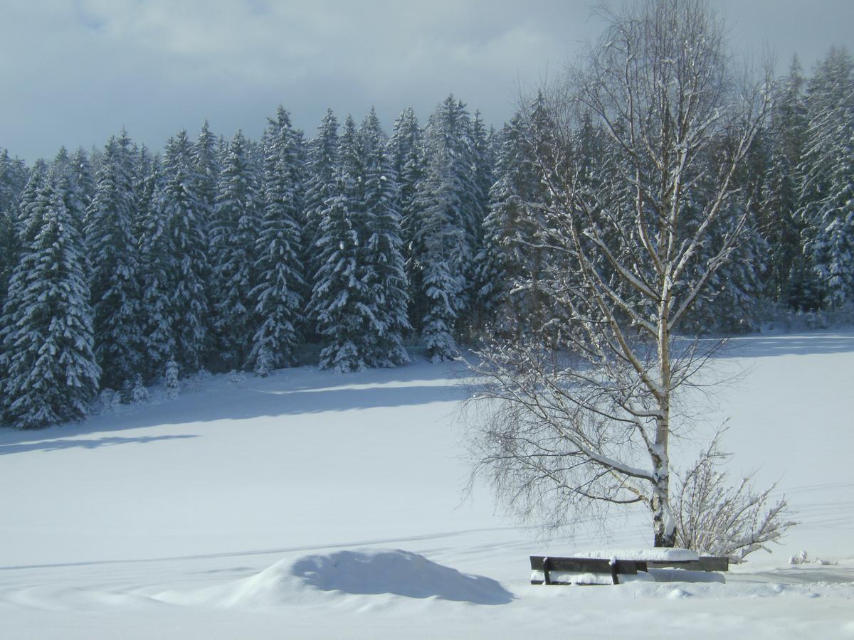 Ferienhaus Wohleser Mariahof Luaran gambar